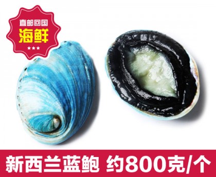 【直发回国】新西兰蓝鲍 1000g/ 500G一袋*2